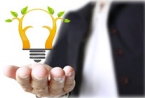 solution_forest_incriptus