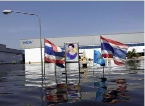 thailand_plants_flood_hoya