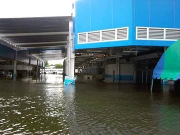 thailand_plants_flood_wd_passer_1