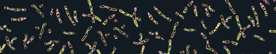 1000_genomes_project_amazon_cloud_540