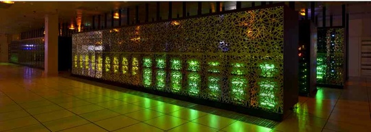 bull_curie_de_genci_540