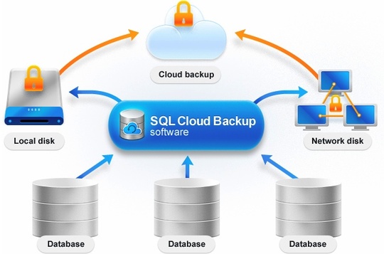 intelligent_database_solutions_sql_540