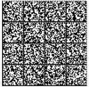 safeberg_800_character_key_paper