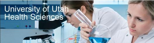 university_of_utah_it_services